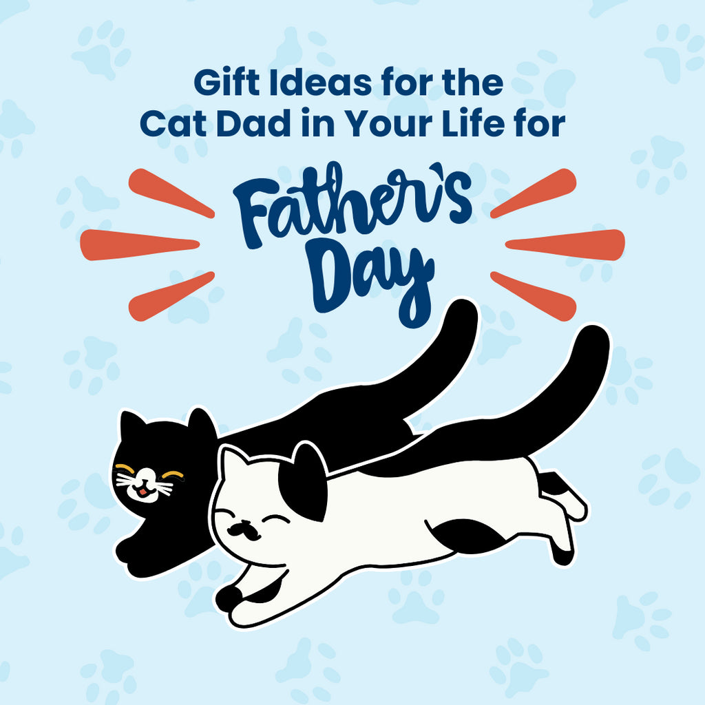Gift Ideas for the Cat Dad in Your Life (Father’s Day Edition)